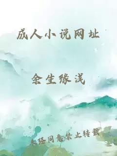 成人小說網(wǎng)址