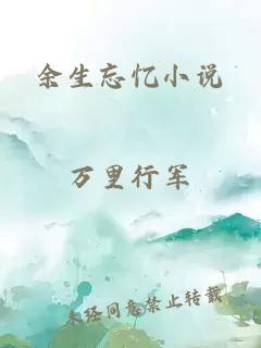 余生忘憶小說