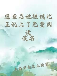 退親后她被鎮(zhèn)北王訛上了免費閱讀