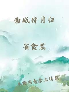 南城待月歸