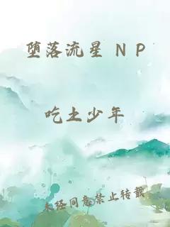 墮落流星 N P